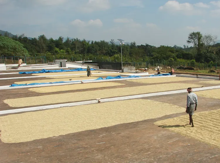 BBQ Tile Drying Yard
