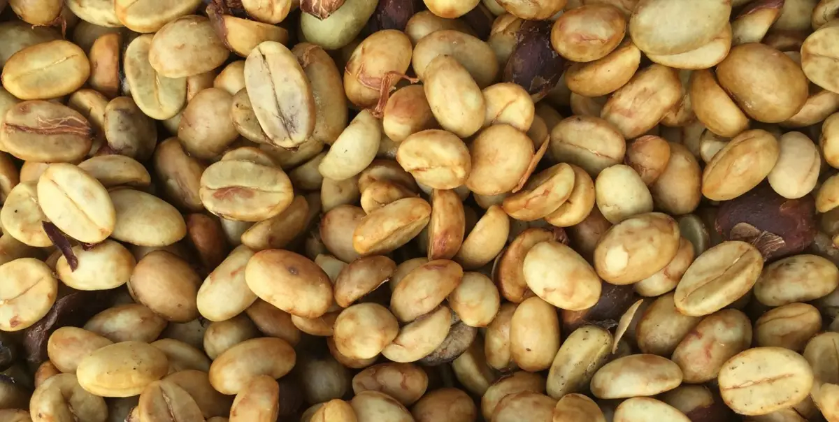 Honey processed coffee